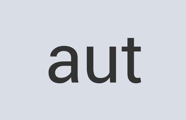 Aerodynamic Leather Airvoyance