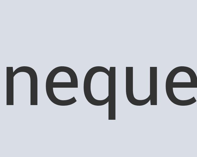 Aerodynamic Leather Airvoyance