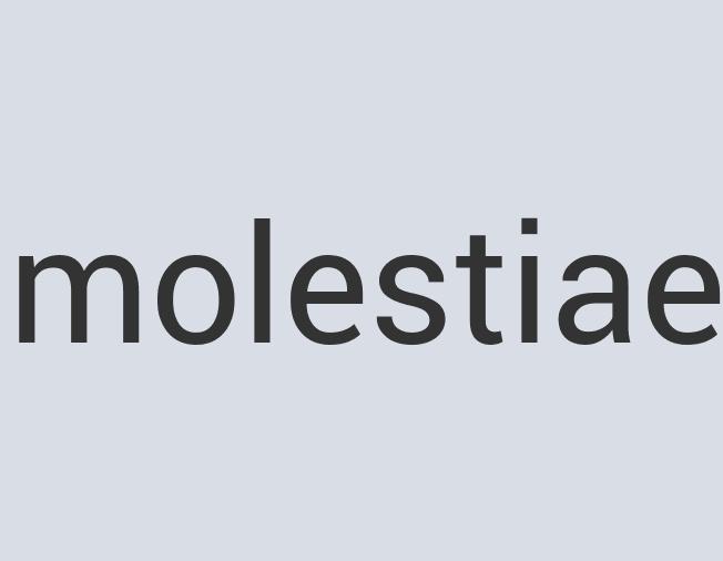 Aerodynamic Paper Brain Butter