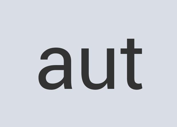 Aerodynamic Leather Airvoyance